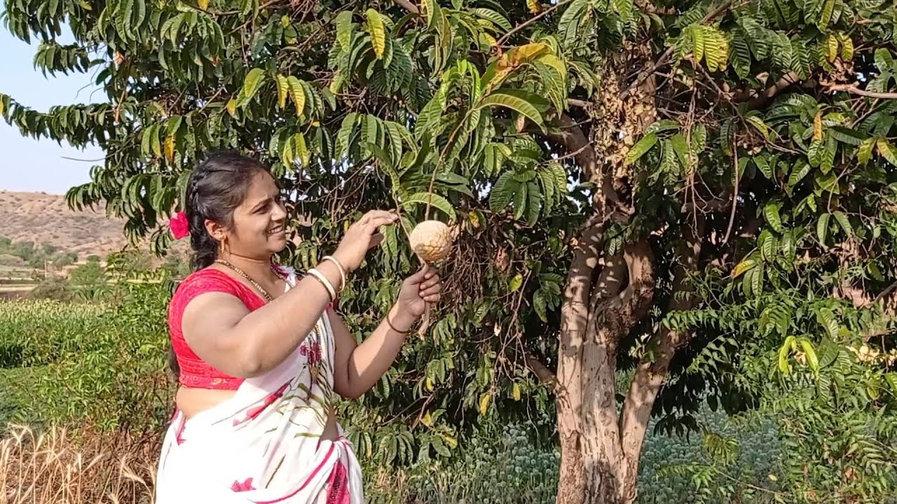 Have you ever seen this fruit in your country | Wild Fruit picking and village life vlog 🥰😍😘