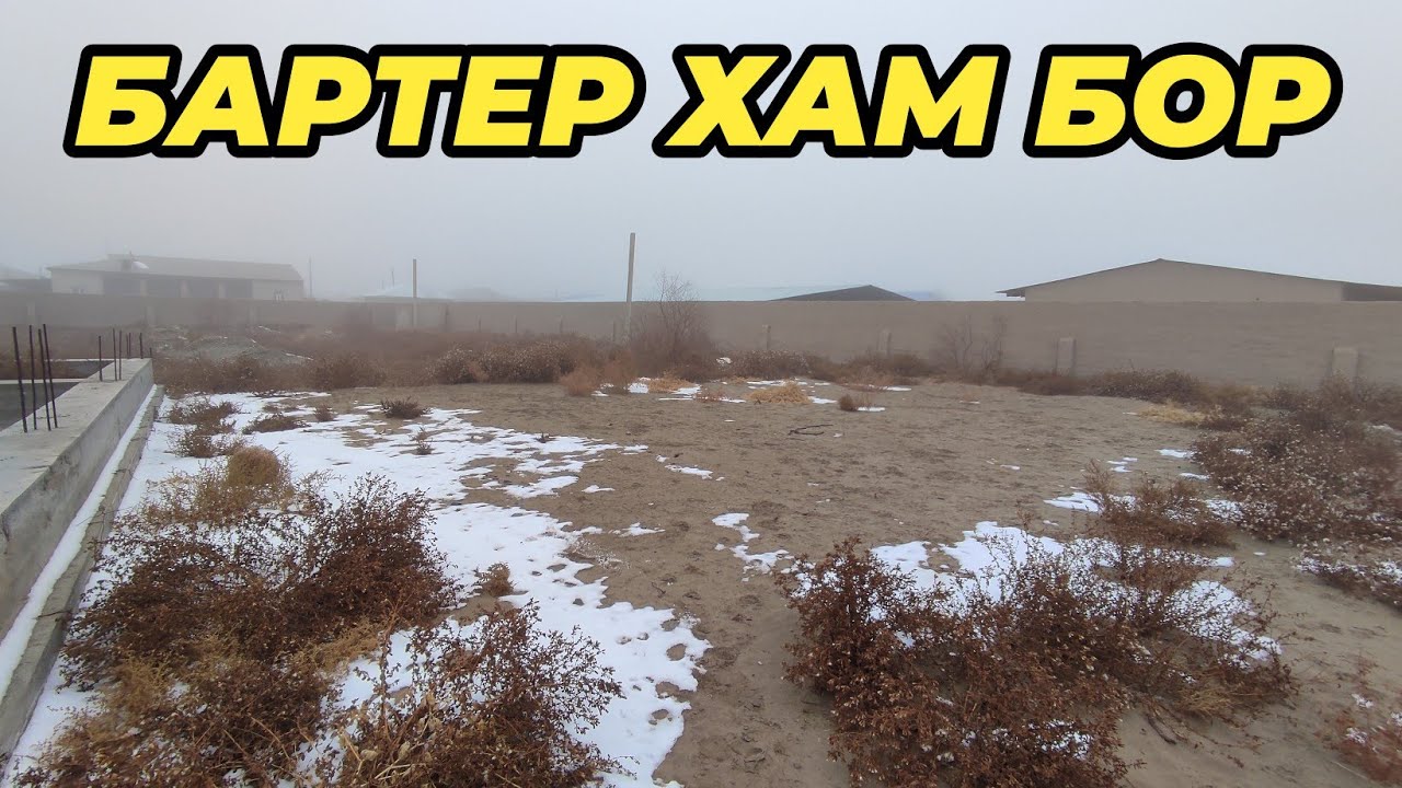 ТУРТКУЛЬ МОЛ БОЗОРИ ЁНИДА ЖОЙ У́РИН СОТИЛАДИ