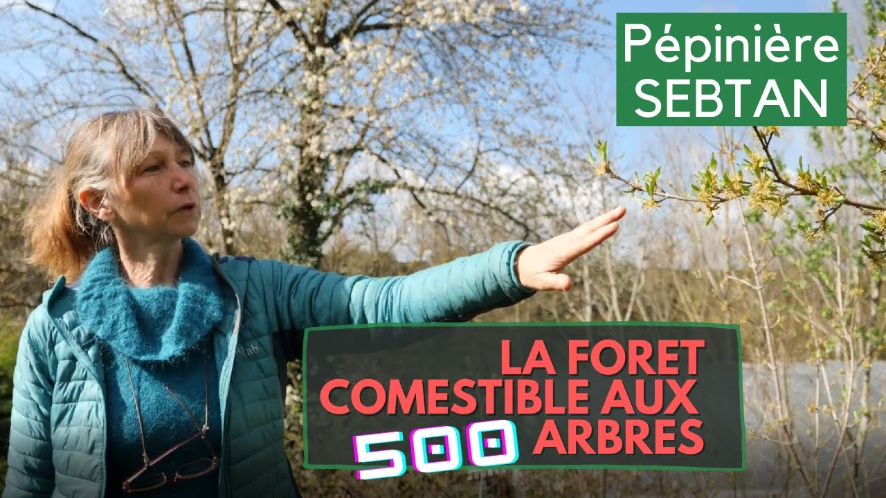 La forêt comestible aux 500 variétés d'arbres fruitiers.