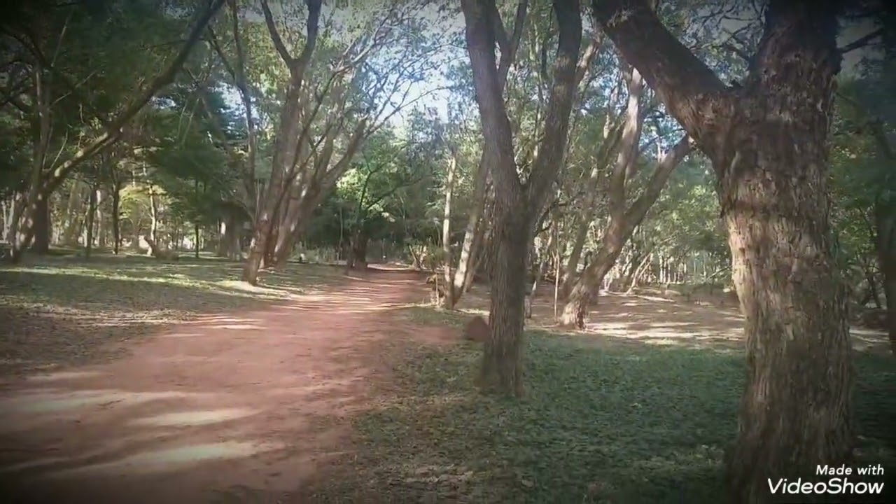 Parquedafazenda@viagensincriveis