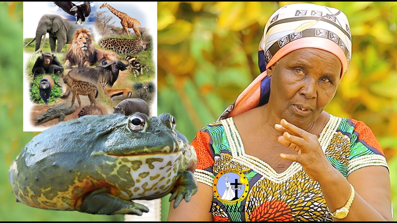 UYU WAGIRANGO SI UMUNTU💔NABONYE IREMBO RY'IKUZIMU CONGO💔IBY'UMUDIAKONI UHINDUKA IGIKERI AKICA ABANTU