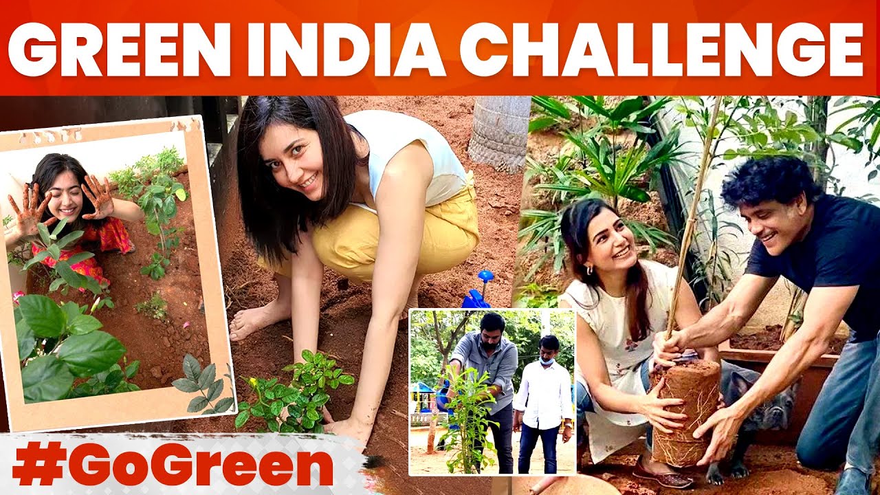 Actress Rashi Khanna accepts Rashmika Mandanna's Green India challenge!