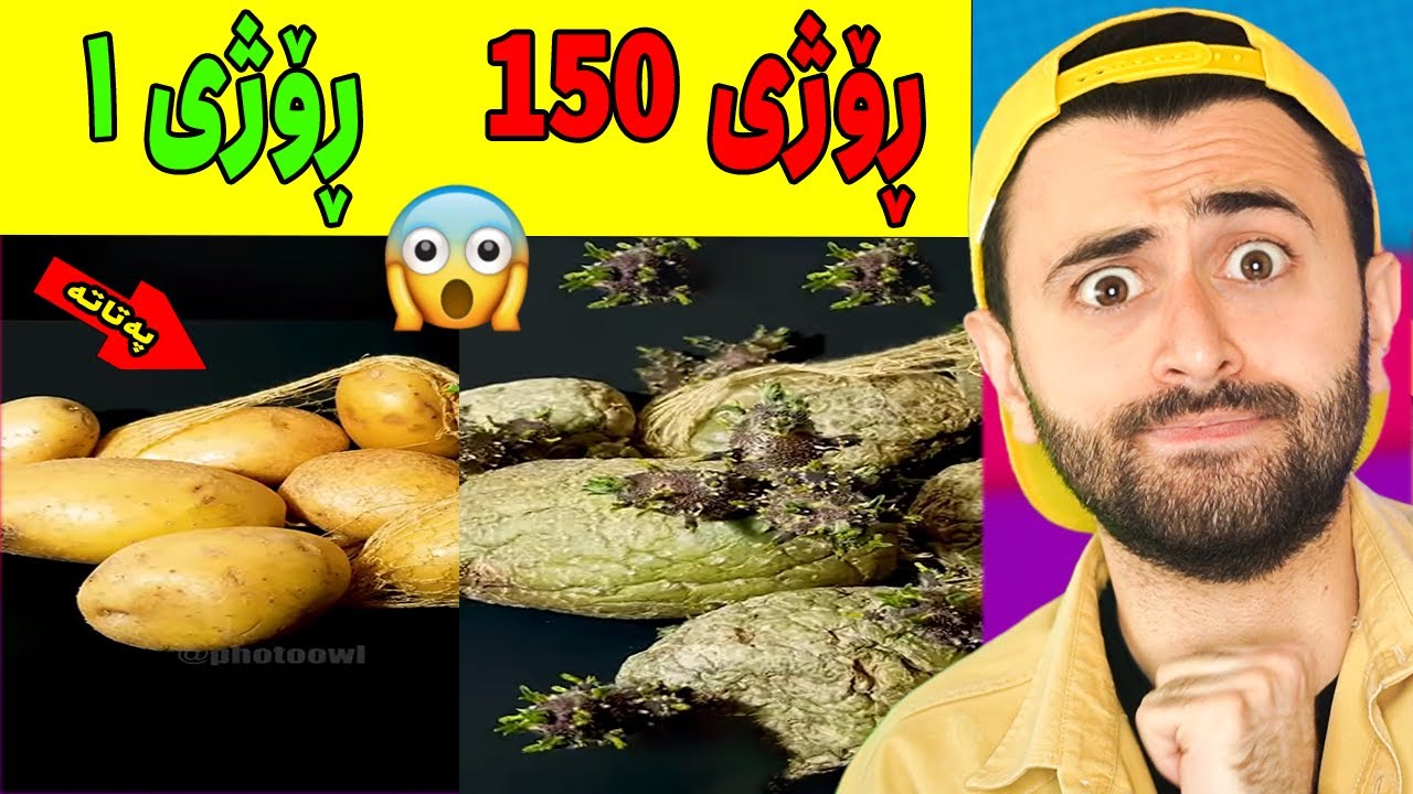 Ashkan Reacts - تێپەر بوونی کات