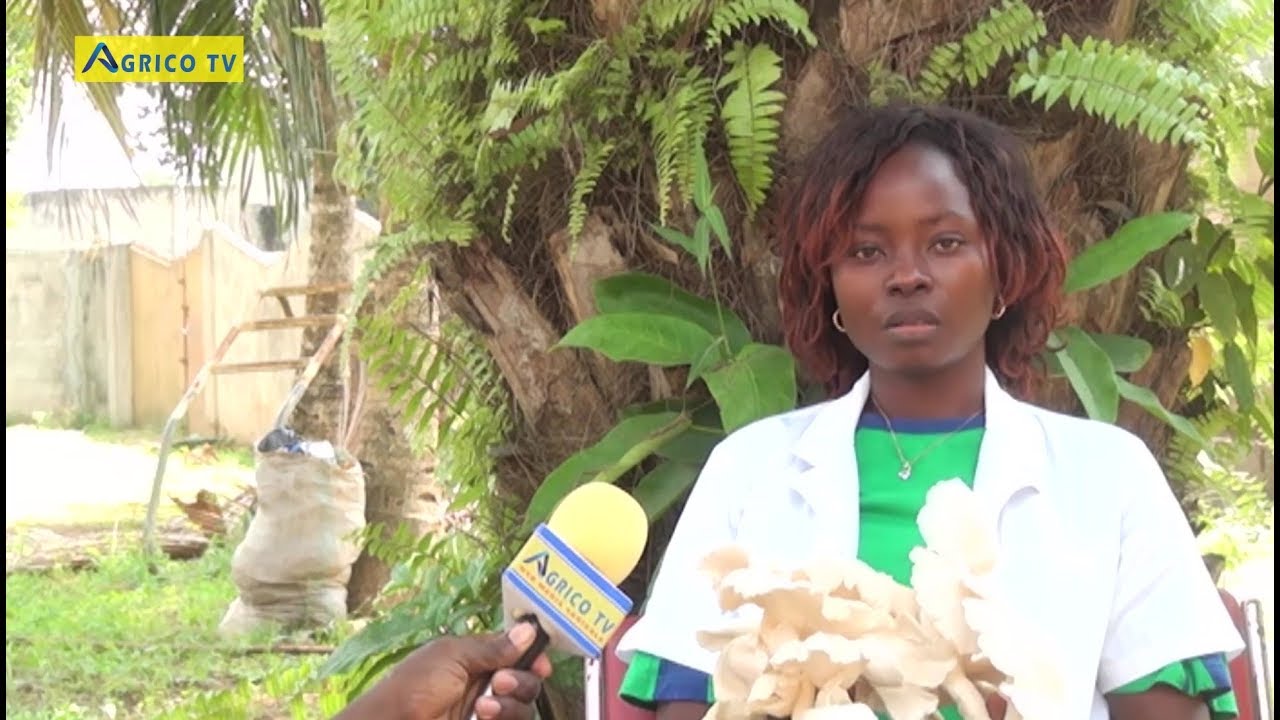 ELLE SE SERT DES RAFLES DE MAÏS POUR CULTIVER DES CHAMPIGNONS