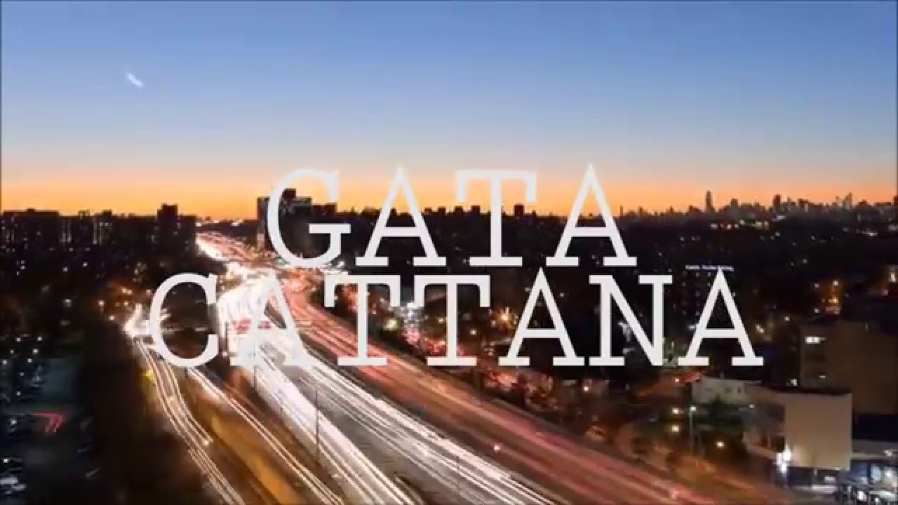 Gata Cattana  - Gotham