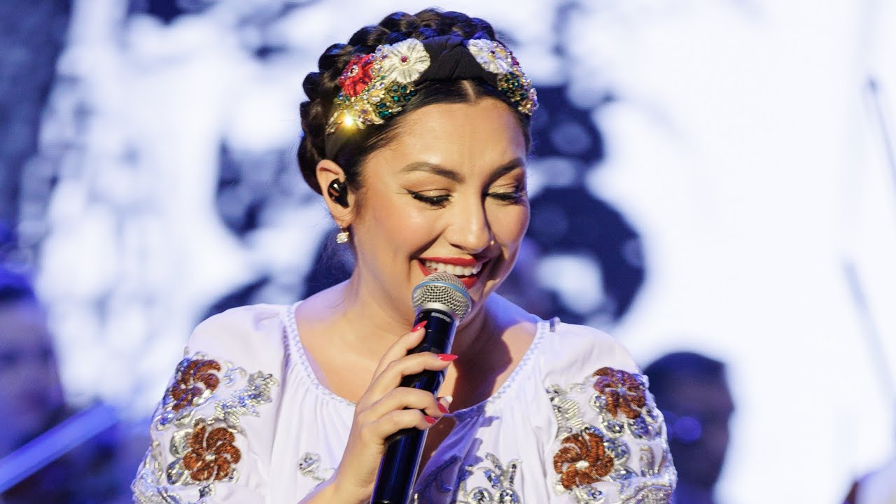 Andra - Radu Mamii, Radule (Live in TRADITIONAL 2 la Sala Palatului)