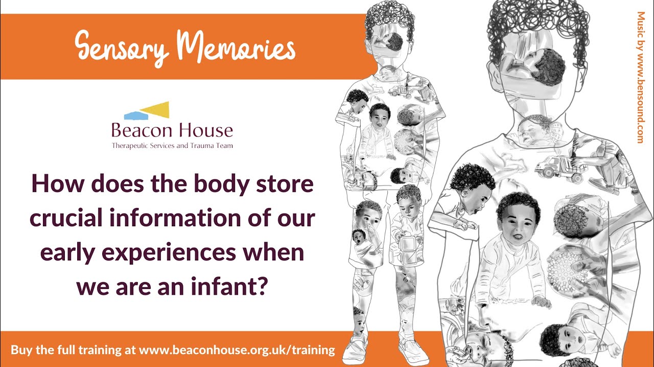 Sensory Memories