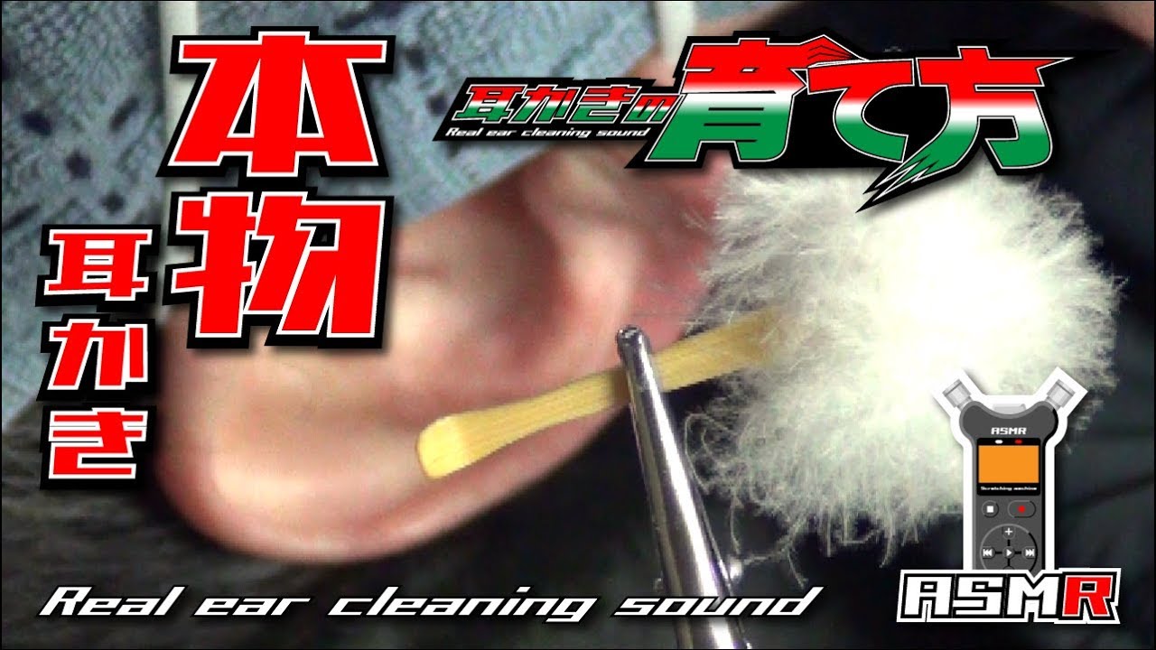 【ASMR】本物の耳かき音/耳かきの育て方 Real Ear Cleaning Sound /TASCAM DR-07MK2-JJ/no talking