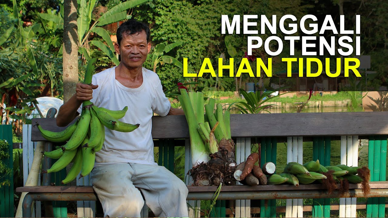 Olah Lahan Tidur Jadi Kebun Pangan