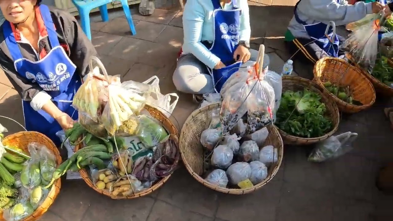 พาไปเดิน 