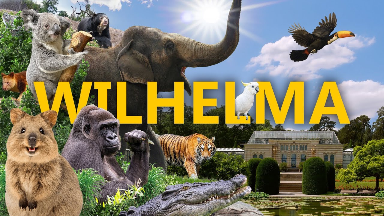 Die Wilhelma im Wandel – wie gut ist der Stuttgarter Zoo heute wirklich?