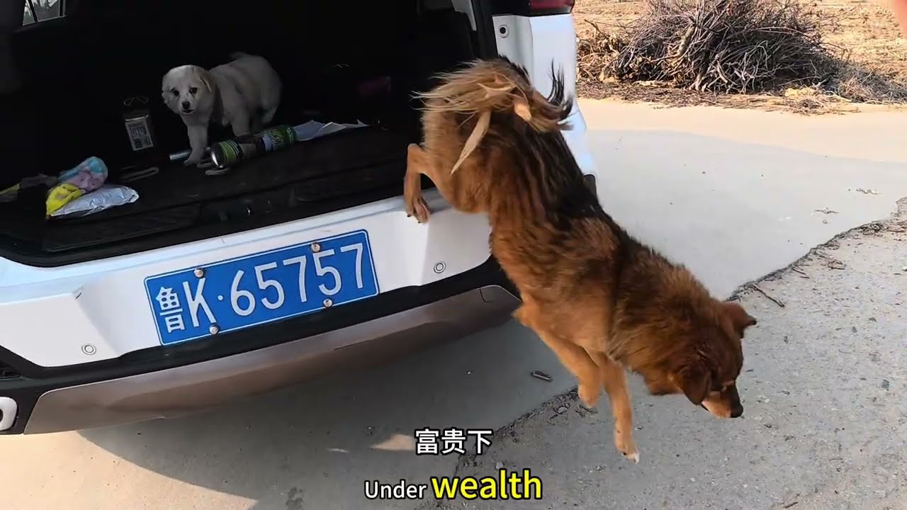 救助日常