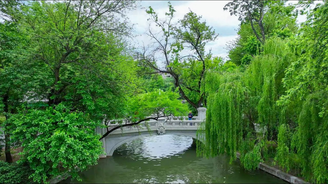 Cismigiu Park Bucharest