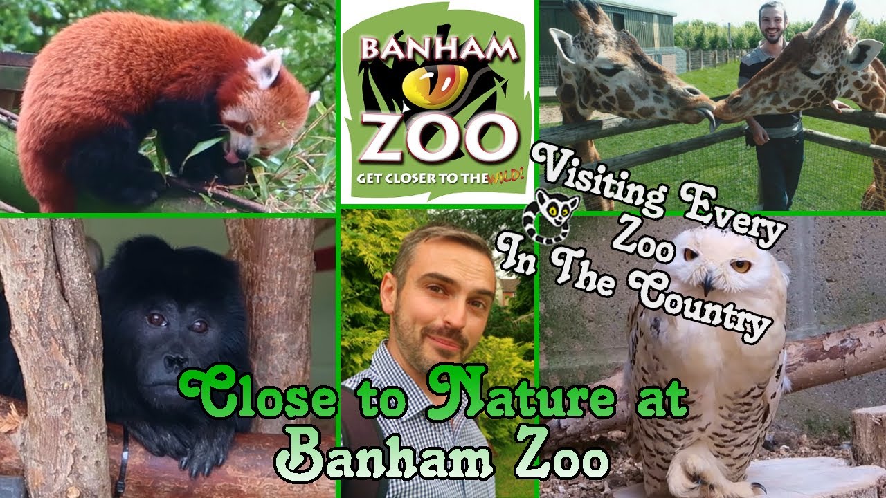 Banham Zoo, Norfolk's top attraction?