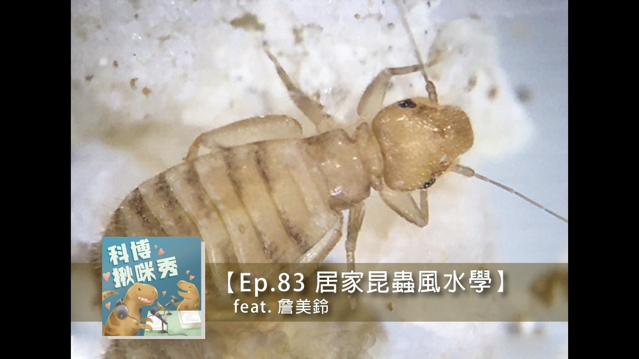 Ep.83 居家昆蟲風水學 feat. 詹美鈴 aka 全力以赴的拼命三娘