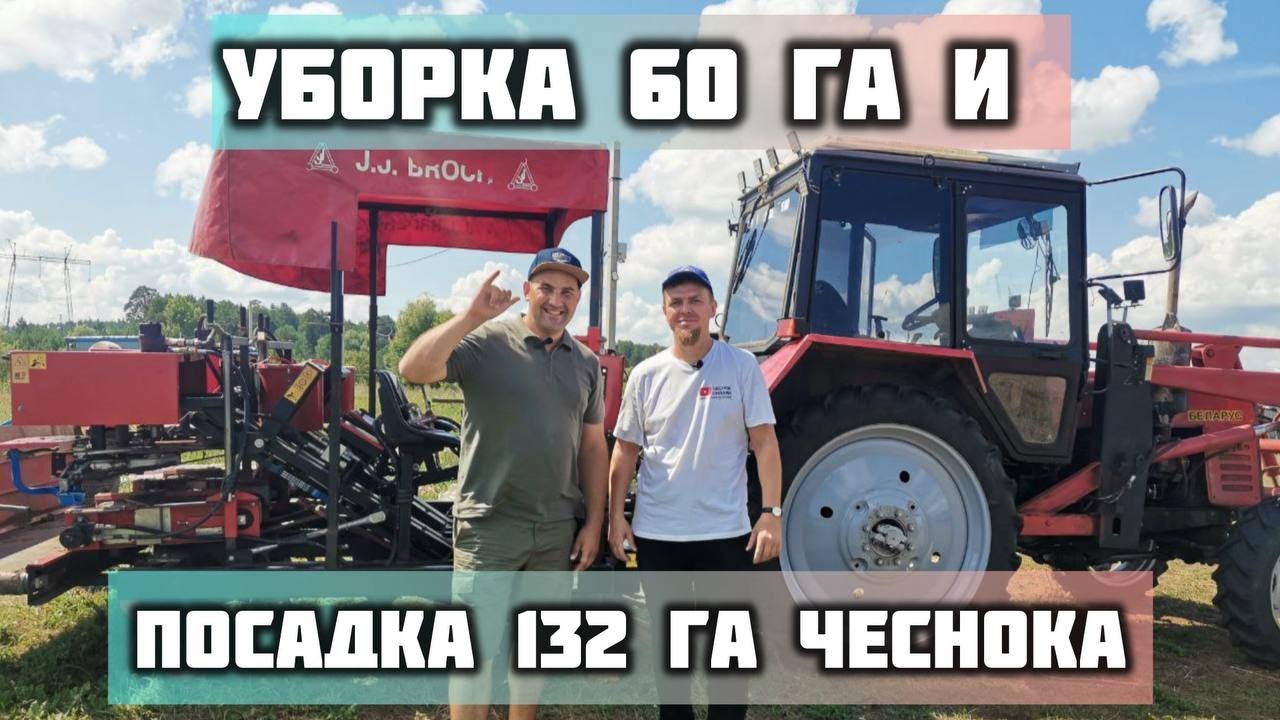 МАСШТАБНОЕ ПРОИЗВОДСТВО СЕВЕРНОГО ЧЕСНОКА В РОССИИ