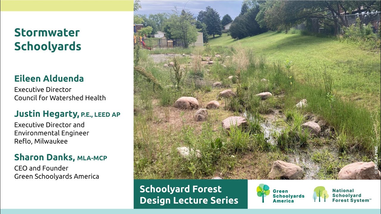 Schoolyard Forest Design Lecture Series 5: Stormwater Schoolyards