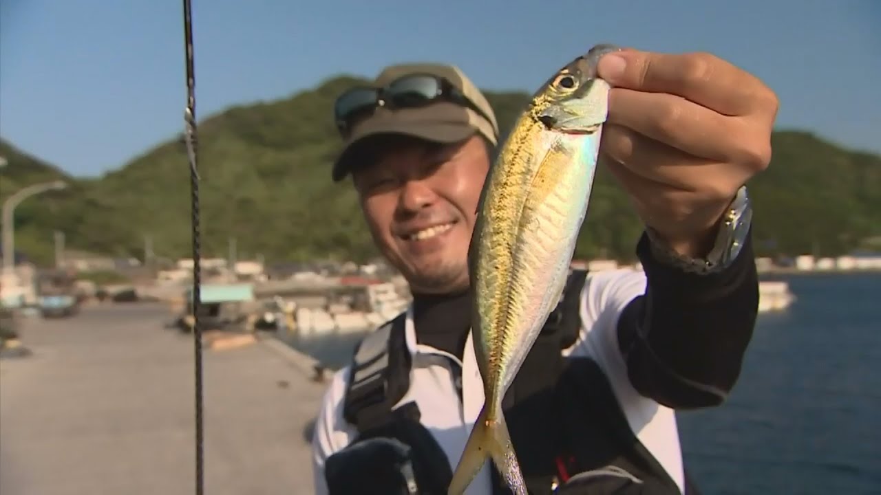 【いつでも釣り気分！】#210 夏はデイゲームも熱い！愛媛県 宇和海でアジングゲーム！