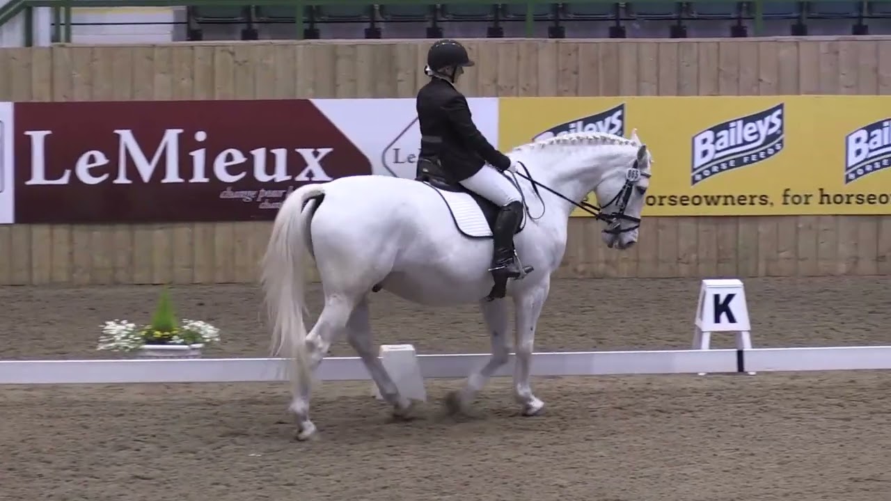 British Dressage Winter Nationals @ Hartpury - Novice Freestyle