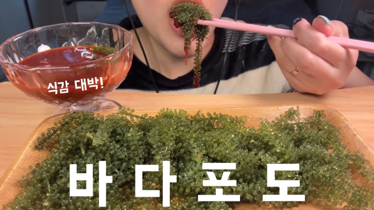 MUKBANG : 식감 대박 와다닥 바다포도!! (자막있어용!)