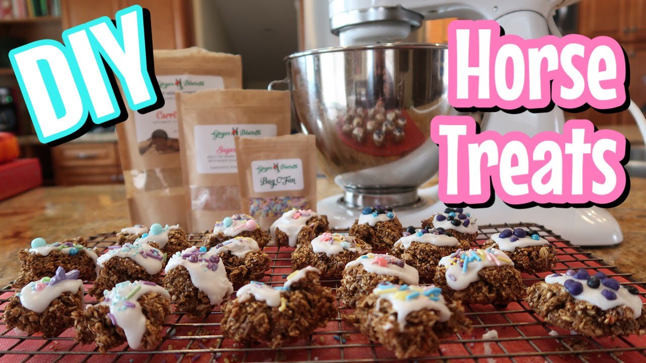 Bake Horse Treats with Me // DIY // Ginger Biscuits Horse Treats