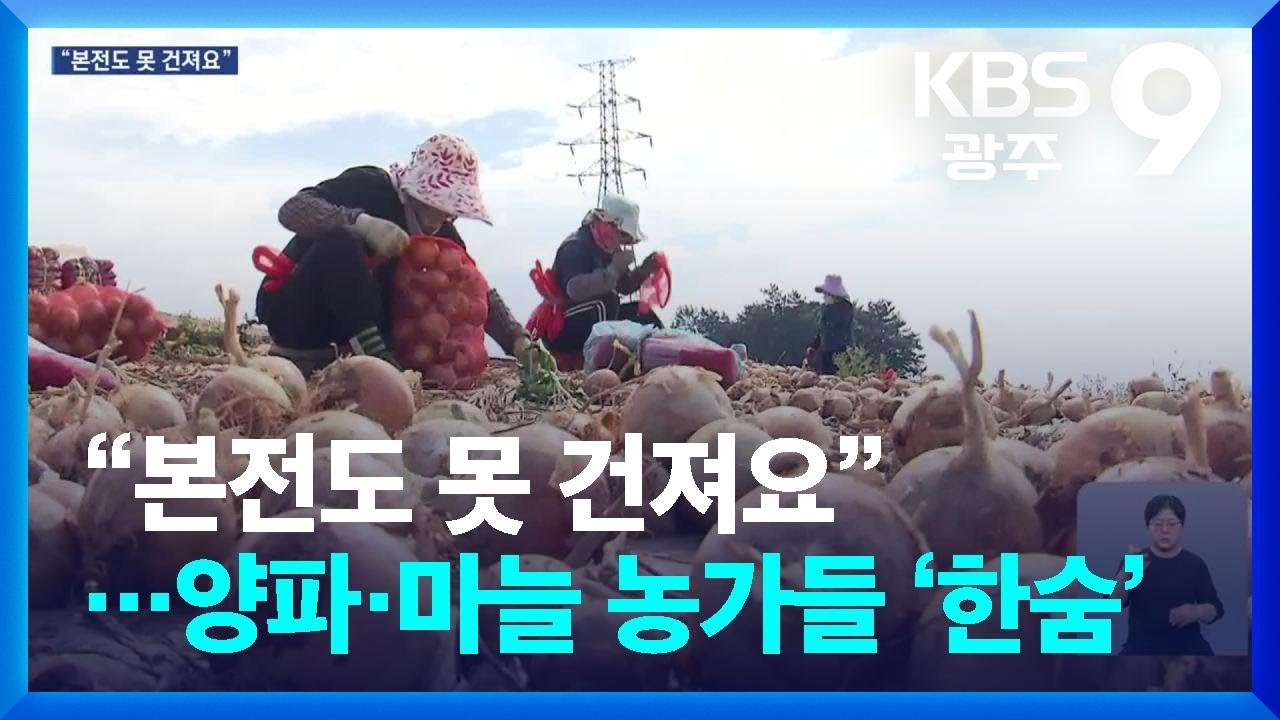 “본전도 못 건져요”…양파·마늘 농가들 ‘한숨’ / KBS  2025.06.13.