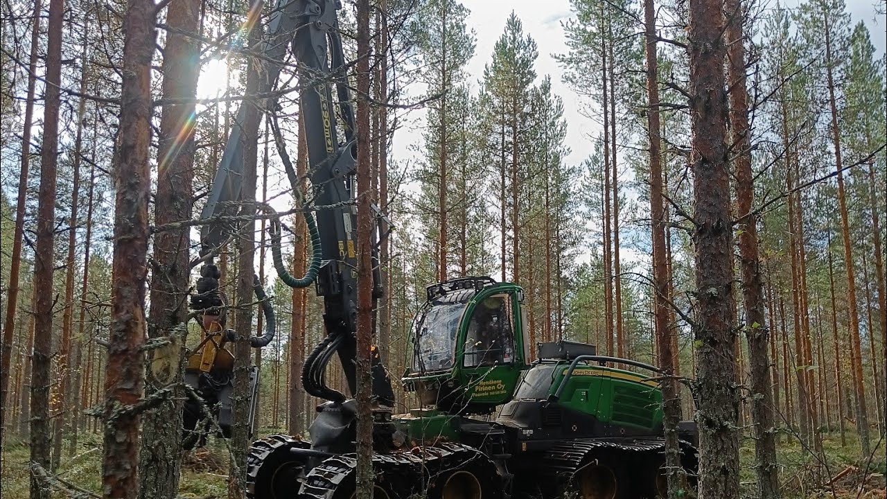 Hyvää männikön harvennusta hienossa kelissä John Deere 1170G IBC H423 