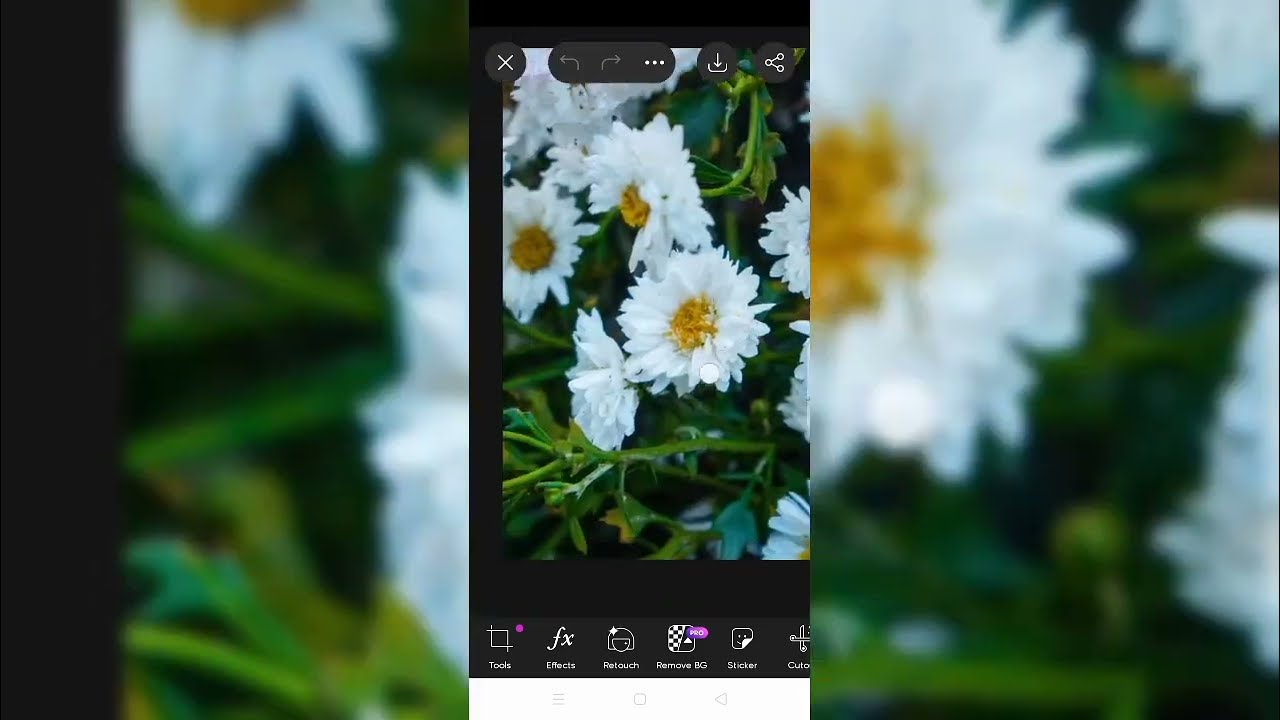 Мастер-класс по цветокоррекции для HDR-портретов | Photoshop + Canon R5 4K 🎨#n925k#1850