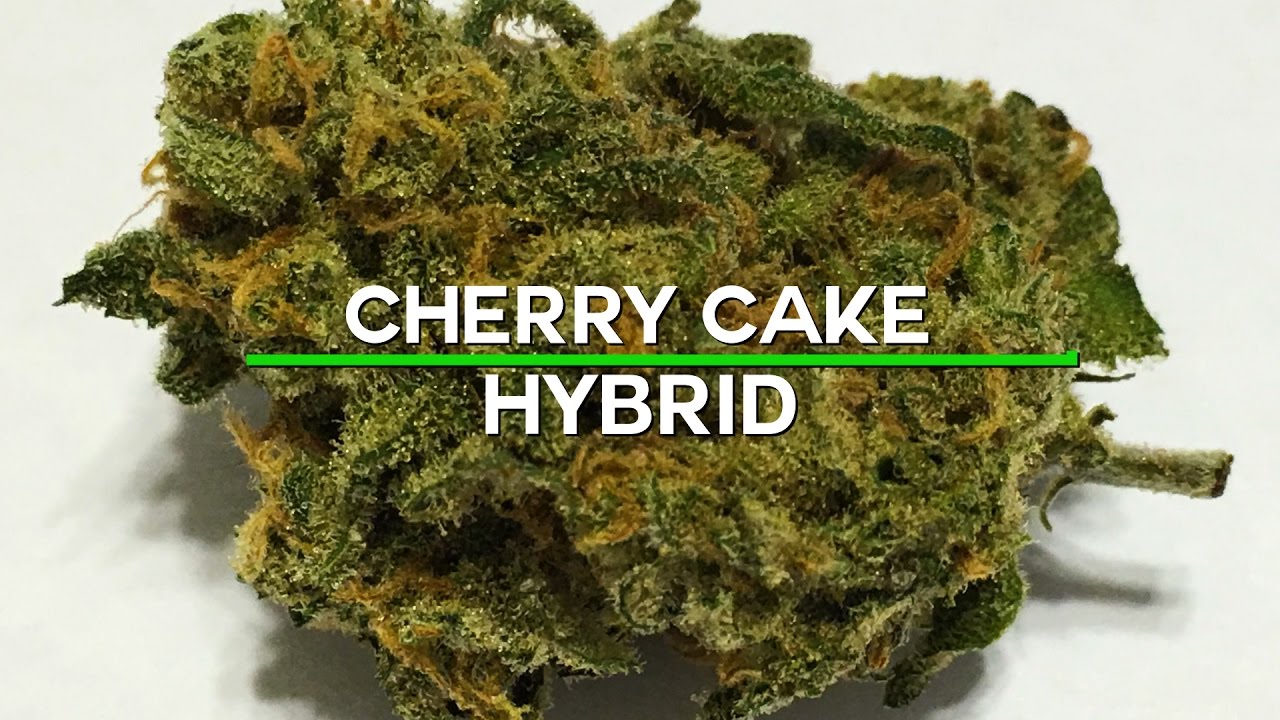 420 Strain Reviews- Cherry Cake