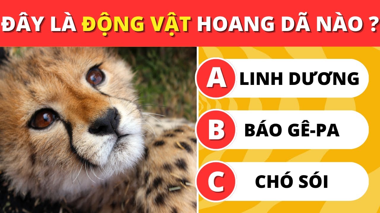 Đoán Tên 20+2 Động Vật Hoang Dã — Trắc Nghiệm Nhanh