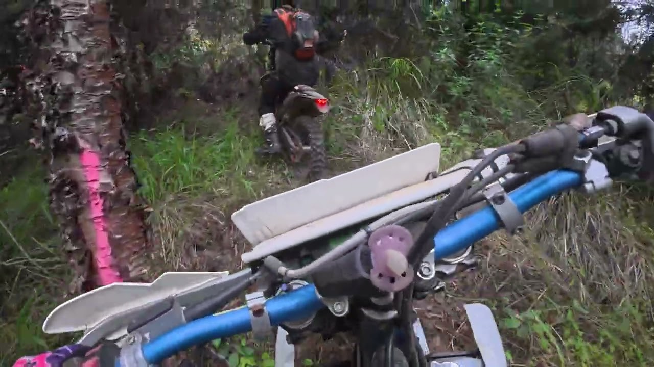 Aussie weekend Saturday Long