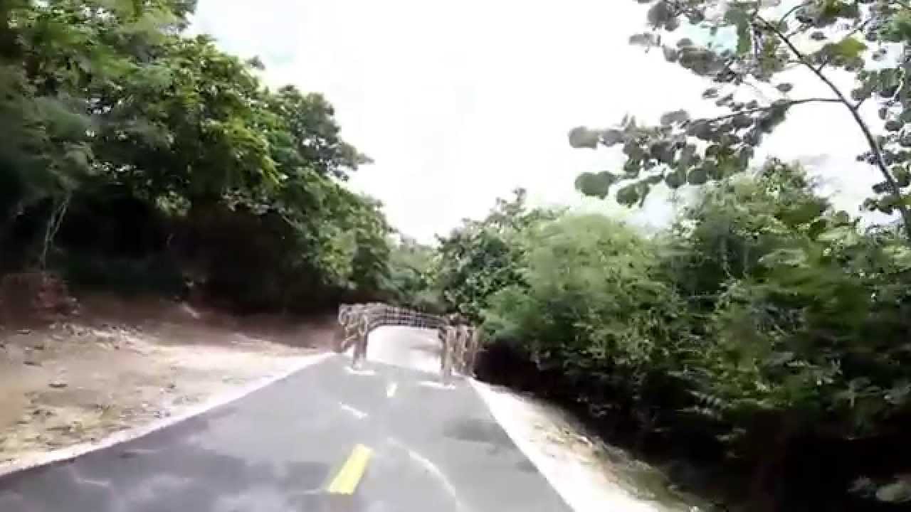running on Paseo Lineal, Isabela Puerto Rico