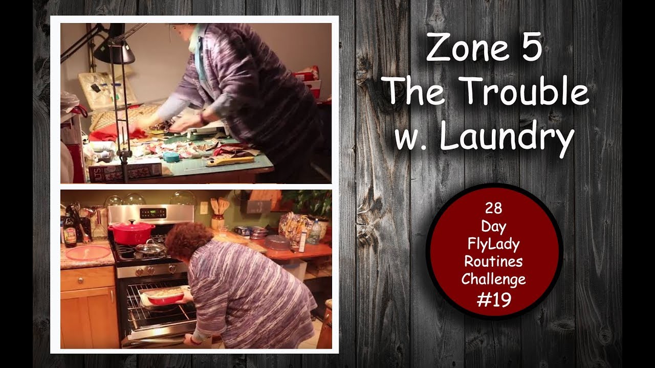 28-Day Flylady Routines Challenge ||02/26/2018 || Day 19  -Zone 5