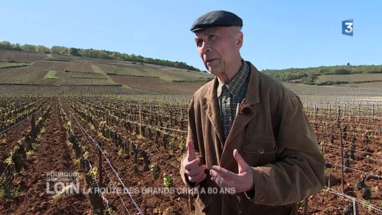 PCPL - La route des Grands Crus a 80 ans