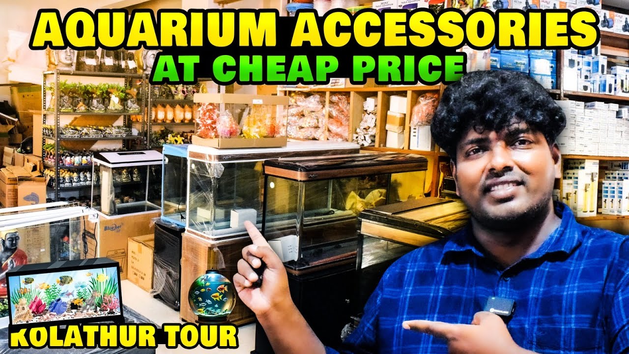 Cheapest Aquarium accessories shop in Kolathur Aquarium Fish Market | Kolathur Tour