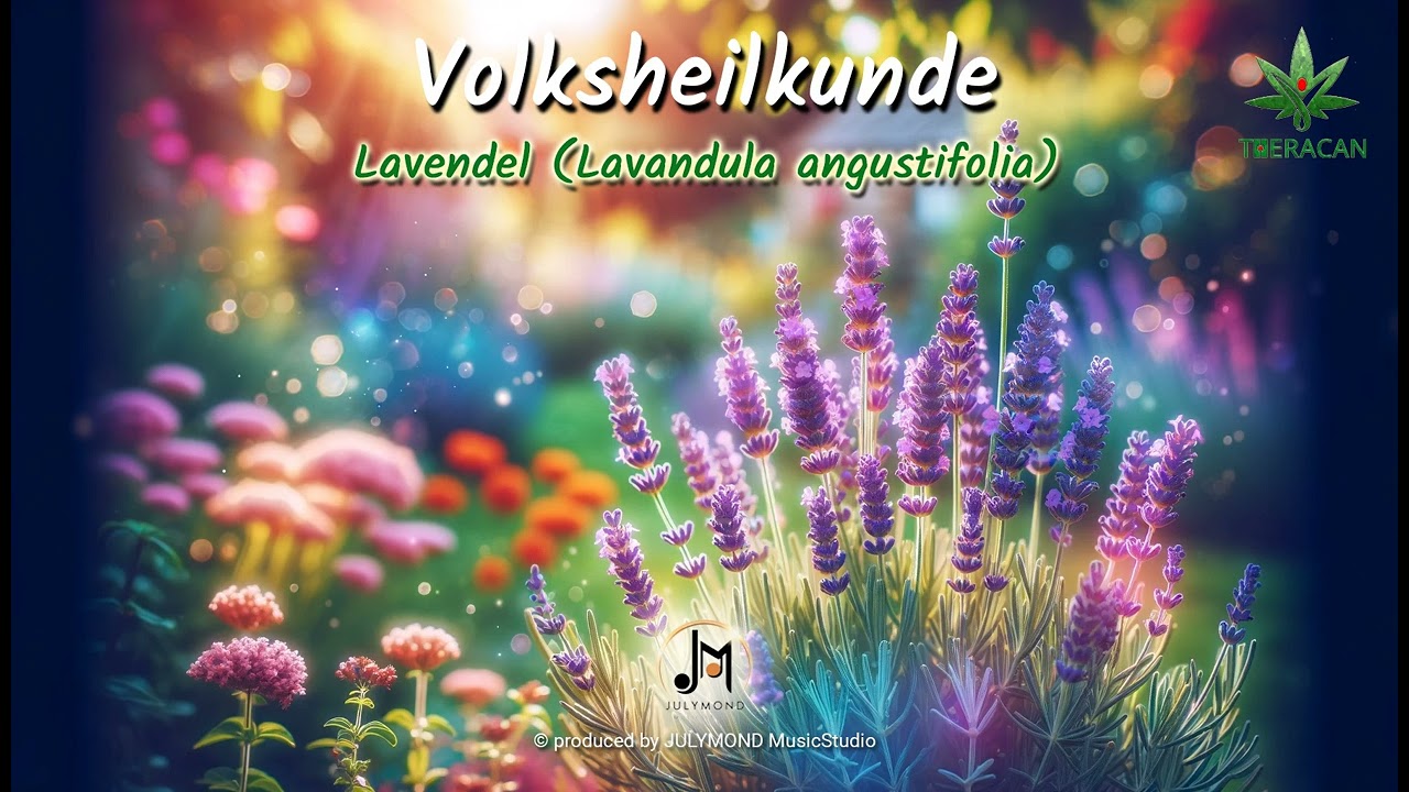 THERACAN | Volksheilkunde 3. Lavendel