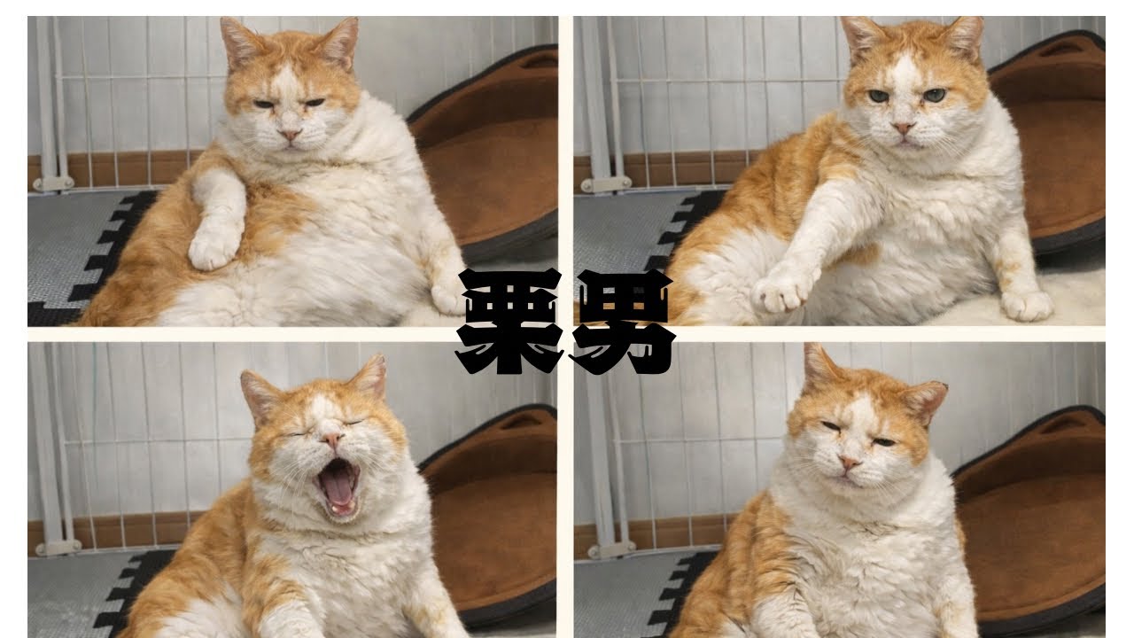 漢 栗男