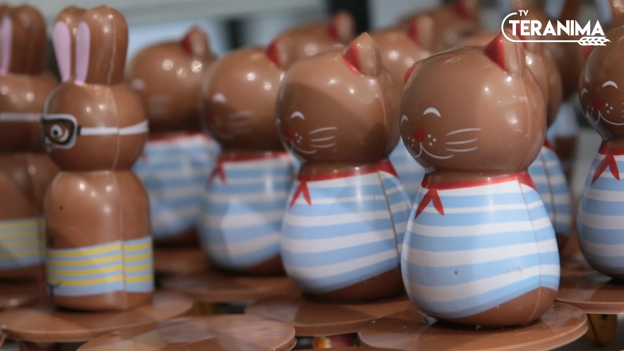 Chocolat blanc, noir ou lait ?