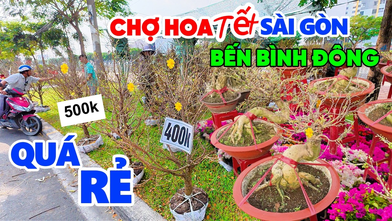 Chợ Hoa Tết Sài Gòn 2026 ở Bến Bình Đông, Rực Rỡ Lễ Hội Trên Bến Dưới Thuyền