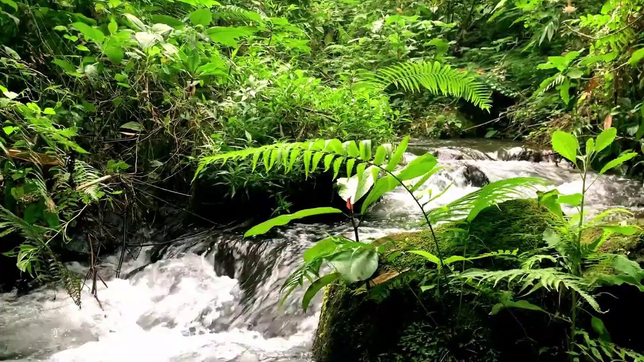 Soft River Flow to help Therapy, Spa & Tinnitus Relief