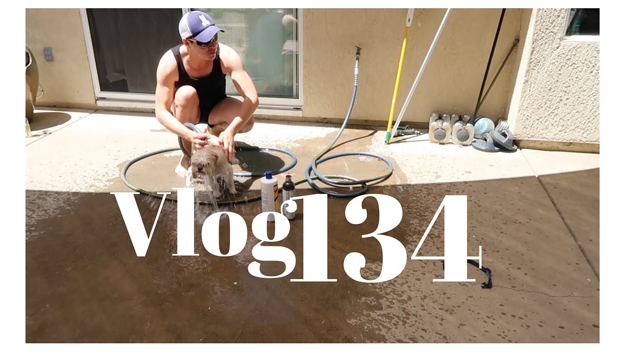 BA&Ntilde;ANDO PERROS Y DE M&Aacute;S | VLOG 134 | YASMANY