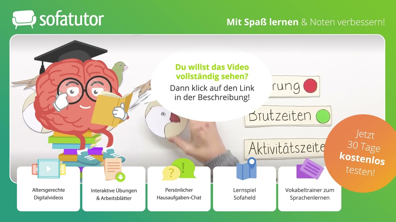 Ökologische Nische einfach erklärt – Definition & Beispiele