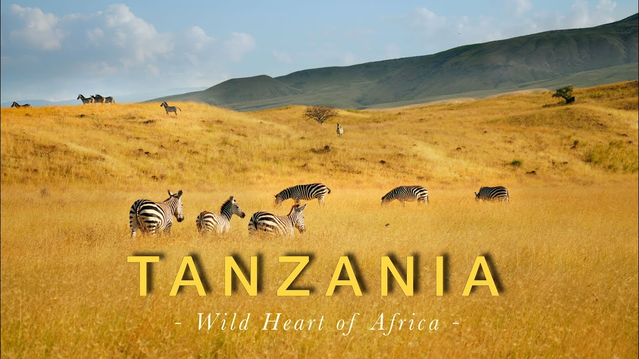 Tanzania 4K | Amazing Journey Into the Wild Heart of Africa