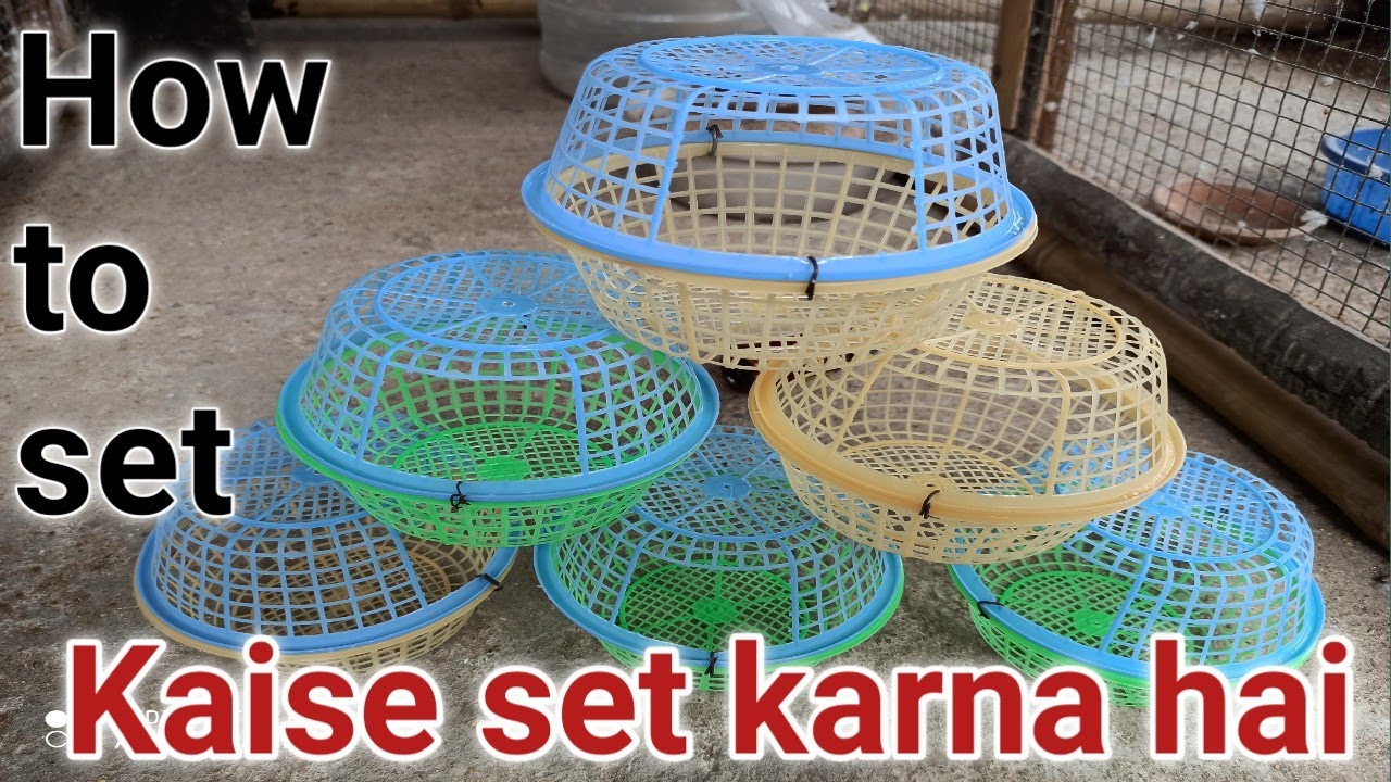 how to set finch bird nest.finch bird basket.