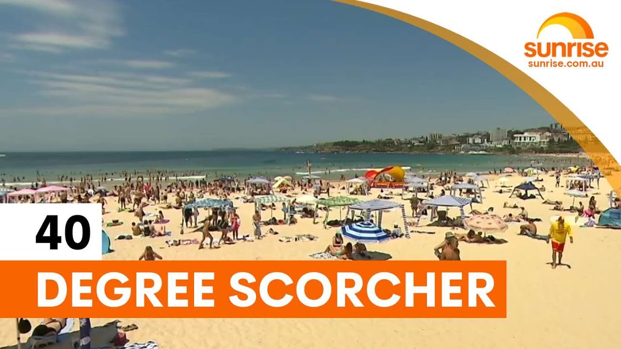 Sydney swelters through 40-degree heatwave | Sunrise