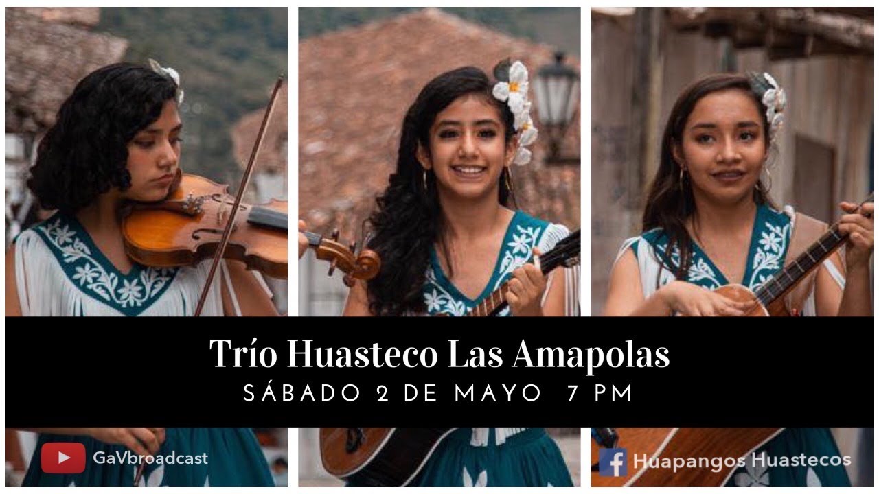 Trío Huasteco Las Amapolas EN VIVO