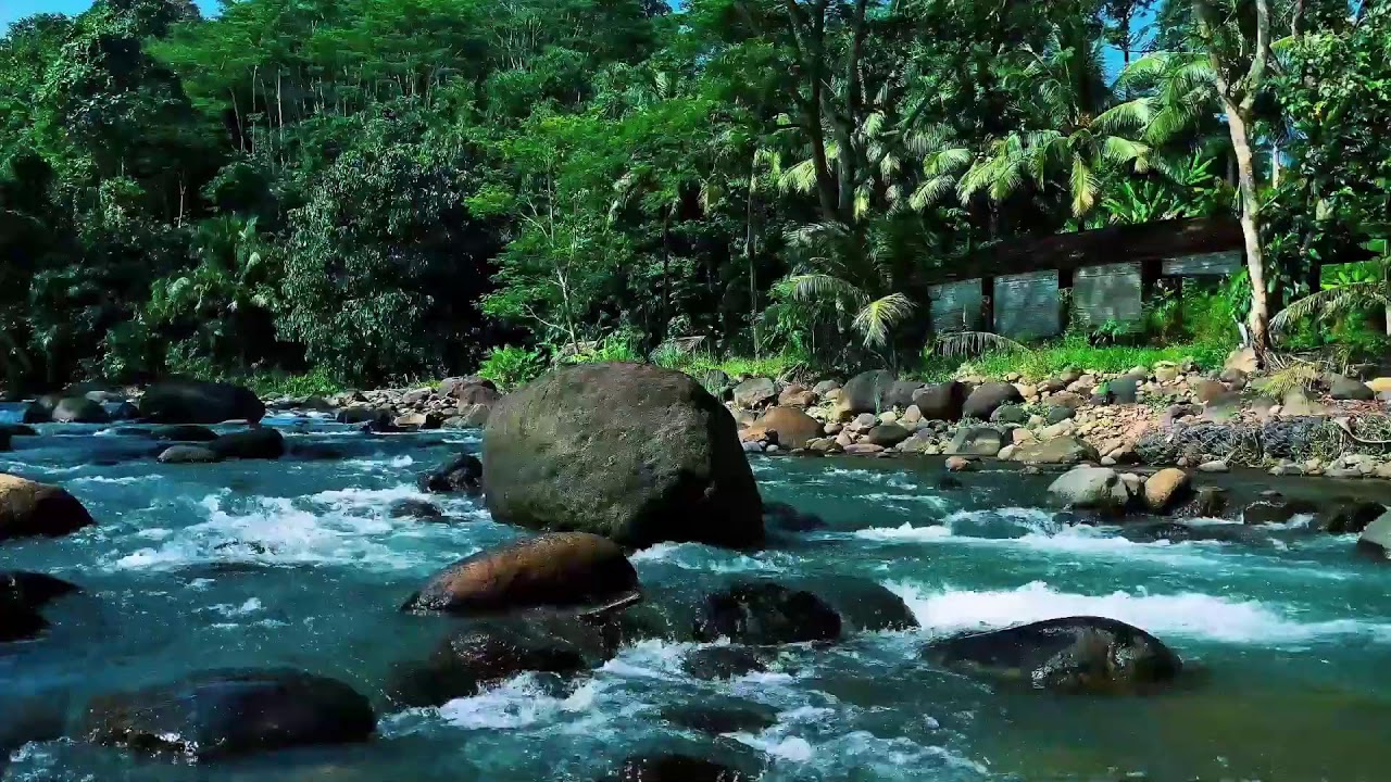 Deep Jungle River Flow Around Giant Boulder | Relaxing Nature Water Sound for Sleep