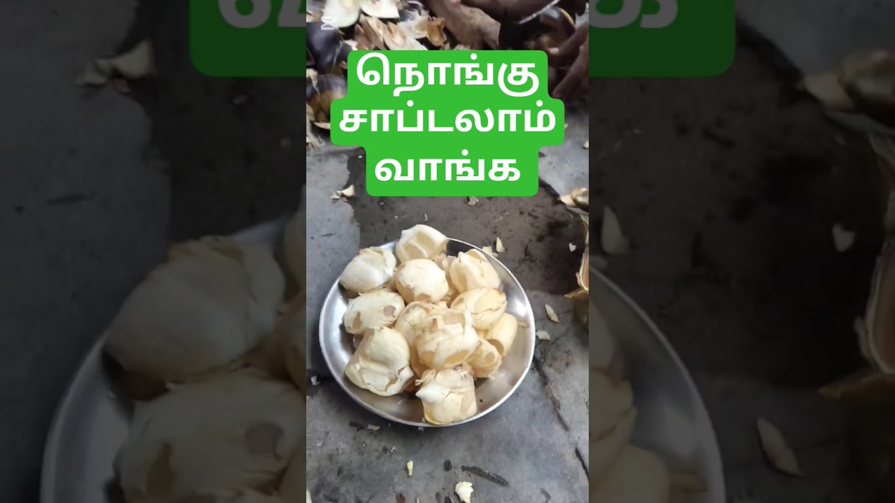 நொங்கு சாப்டலாம்  வாங்க #nongu #palm #panaimaram #nonguvandi #palmtrees