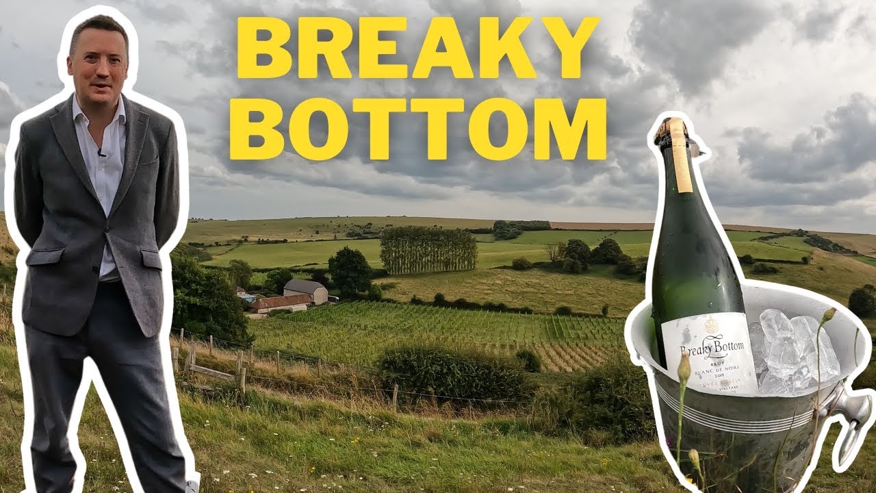 Breaky Bottom: England's most beautiful vineyard?