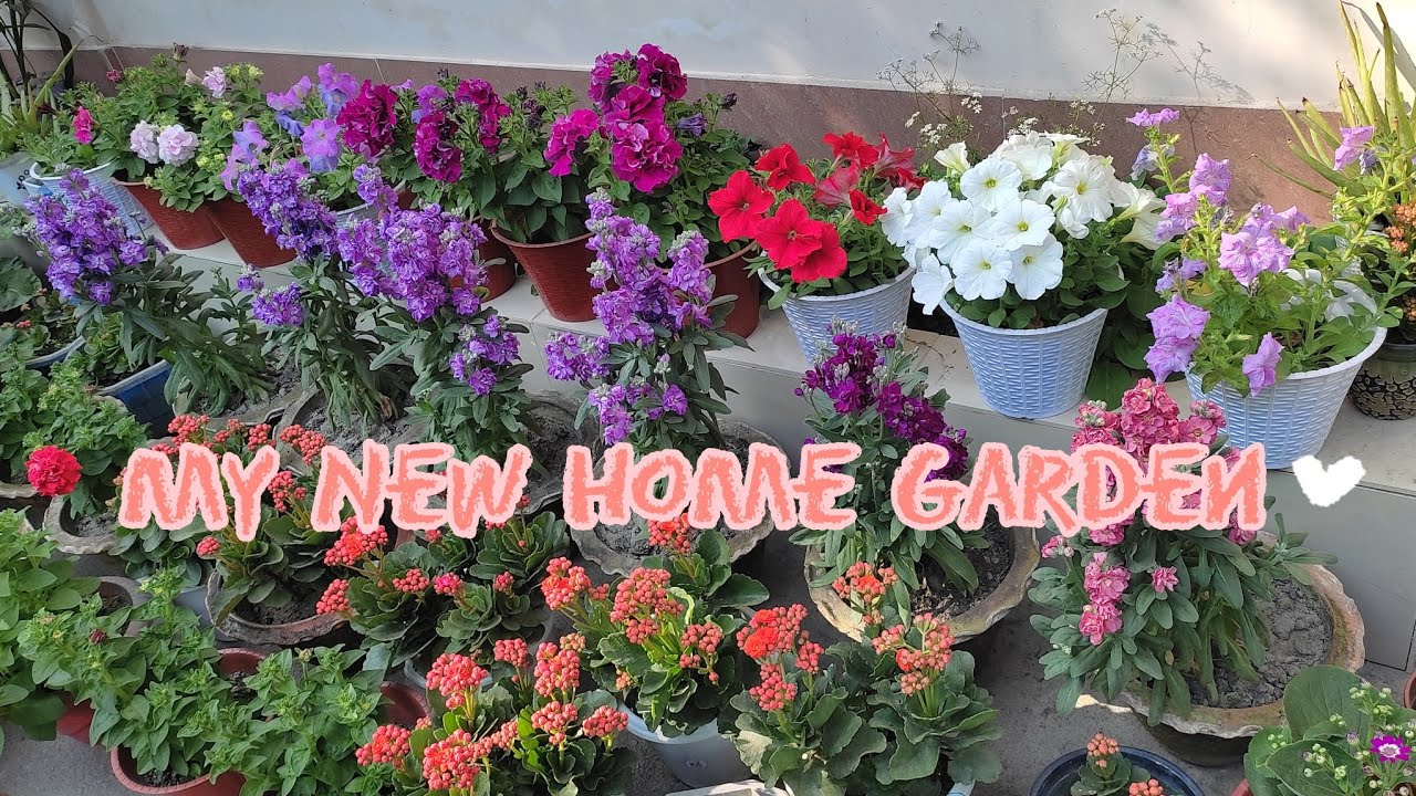 My New Home Garden🤍